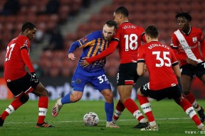 霍芬海姆vs门兴格拉德巴赫-九游体育